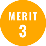 MERIT 3